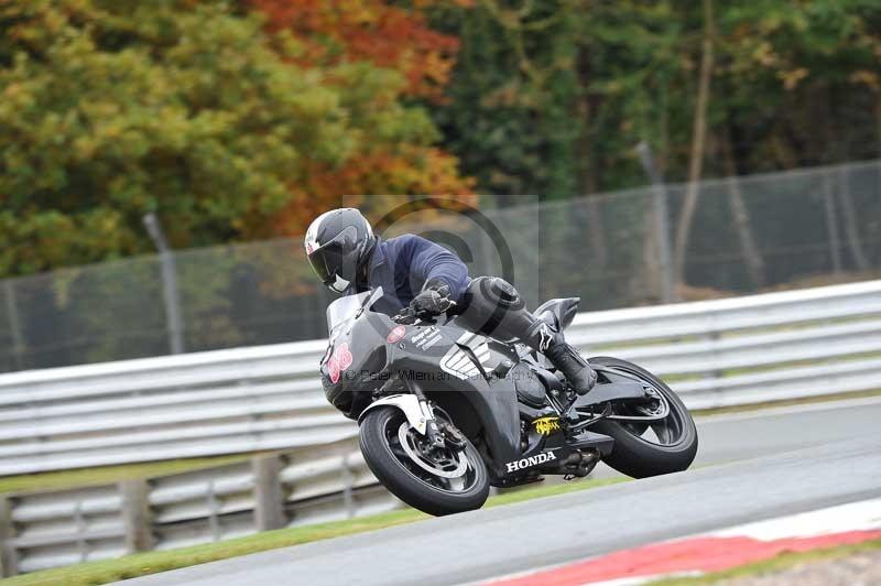 Motorcycle action photographs;Trackday digital images;event digital images;eventdigitalimages;no limits trackday;oulton park;oulton park circuit cheshire;oulton park photographs;peter wileman photography;trackday;trackday photos