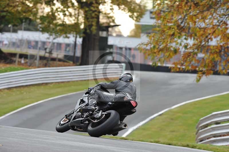 Motorcycle action photographs;Trackday digital images;event digital images;eventdigitalimages;no limits trackday;oulton park;oulton park circuit cheshire;oulton park photographs;peter wileman photography;trackday;trackday photos
