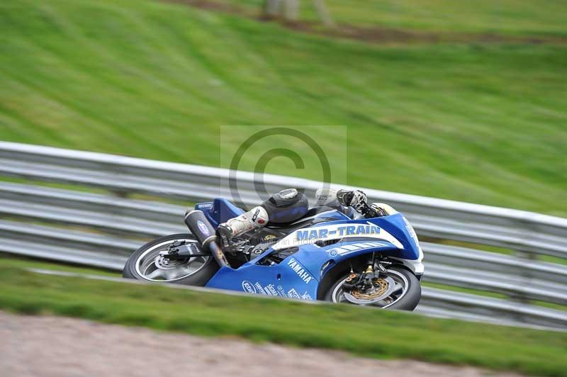Motorcycle action photographs;Trackday digital images;event digital images;eventdigitalimages;no limits trackday;oulton park;oulton park circuit cheshire;oulton park photographs;peter wileman photography;trackday;trackday photos