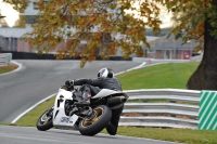 Motorcycle-action-photographs;Trackday-digital-images;event-digital-images;eventdigitalimages;no-limits-trackday;oulton-park;oulton-park-circuit-cheshire;oulton-park-photographs;peter-wileman-photography;trackday;trackday-photos