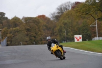 FAST GREEN/YELLOW BIKES