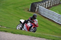 Motorcycle-action-photographs;Trackday-digital-images;event-digital-images;eventdigitalimages;no-limits-trackday;oulton-park;oulton-park-circuit-cheshire;oulton-park-photographs;peter-wileman-photography;trackday;trackday-photos