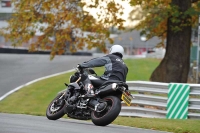 Motorcycle-action-photographs;Trackday-digital-images;event-digital-images;eventdigitalimages;no-limits-trackday;oulton-park;oulton-park-circuit-cheshire;oulton-park-photographs;peter-wileman-photography;trackday;trackday-photos