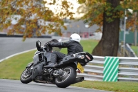 Motorcycle-action-photographs;Trackday-digital-images;event-digital-images;eventdigitalimages;no-limits-trackday;oulton-park;oulton-park-circuit-cheshire;oulton-park-photographs;peter-wileman-photography;trackday;trackday-photos