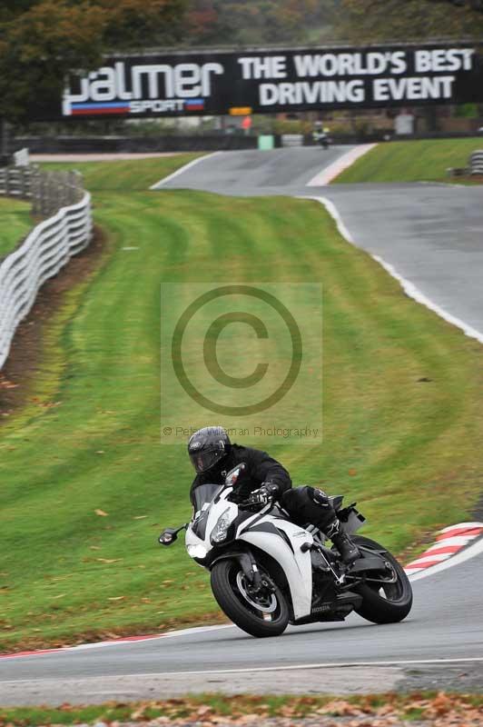 Motorcycle action photographs;Trackday digital images;event digital images;eventdigitalimages;no limits trackday;oulton park;oulton park circuit cheshire;oulton park photographs;peter wileman photography;trackday;trackday photos