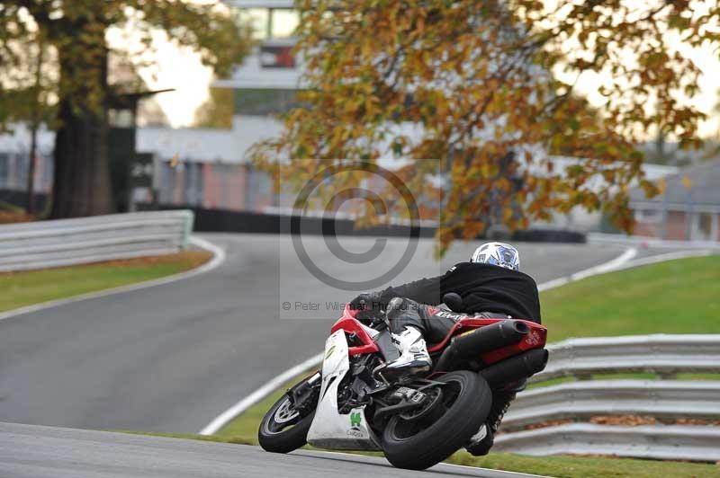 Motorcycle action photographs;Trackday digital images;event digital images;eventdigitalimages;no limits trackday;oulton park;oulton park circuit cheshire;oulton park photographs;peter wileman photography;trackday;trackday photos