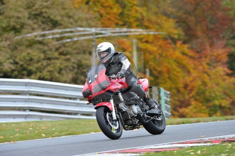 Motorcycle action photographs;Trackday digital images;event digital images;eventdigitalimages;no limits trackday;oulton park;oulton park circuit cheshire;oulton park photographs;peter wileman photography;trackday;trackday photos