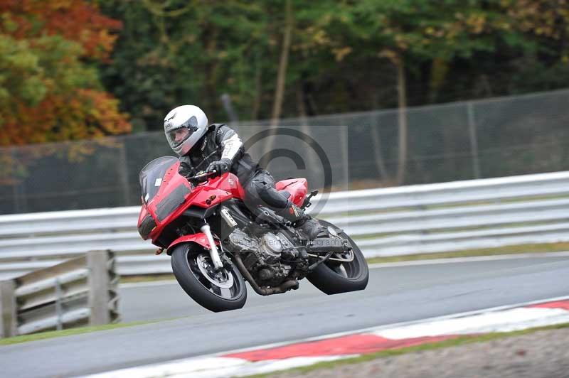 Motorcycle action photographs;Trackday digital images;event digital images;eventdigitalimages;no limits trackday;oulton park;oulton park circuit cheshire;oulton park photographs;peter wileman photography;trackday;trackday photos