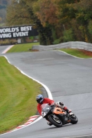 Motorcycle-action-photographs;Trackday-digital-images;event-digital-images;eventdigitalimages;no-limits-trackday;oulton-park;oulton-park-circuit-cheshire;oulton-park-photographs;peter-wileman-photography;trackday;trackday-photos