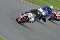 Motorcycle-action-photographs;Trackday-digital-images;event-digital-images;eventdigitalimages;no-limits-trackday;oulton-park;oulton-park-circuit-cheshire;oulton-park-photographs;peter-wileman-photography;trackday;trackday-photos