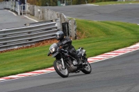 Motorcycle-action-photographs;Trackday-digital-images;event-digital-images;eventdigitalimages;no-limits-trackday;oulton-park;oulton-park-circuit-cheshire;oulton-park-photographs;peter-wileman-photography;trackday;trackday-photos