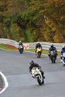 Motorcycle-action-photographs;Trackday-digital-images;event-digital-images;eventdigitalimages;no-limits-trackday;oulton-park;oulton-park-circuit-cheshire;oulton-park-photographs;peter-wileman-photography;trackday;trackday-photos