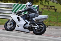 Motorcycle-action-photographs;Trackday-digital-images;event-digital-images;eventdigitalimages;no-limits-trackday;oulton-park;oulton-park-circuit-cheshire;oulton-park-photographs;peter-wileman-photography;trackday;trackday-photos