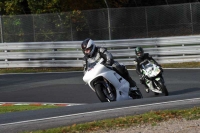 Motorcycle-action-photographs;Trackday-digital-images;event-digital-images;eventdigitalimages;no-limits-trackday;oulton-park;oulton-park-circuit-cheshire;oulton-park-photographs;peter-wileman-photography;trackday;trackday-photos