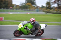 Motorcycle-action-photographs;Trackday-digital-images;event-digital-images;eventdigitalimages;no-limits-trackday;oulton-park;oulton-park-circuit-cheshire;oulton-park-photographs;peter-wileman-photography;trackday;trackday-photos