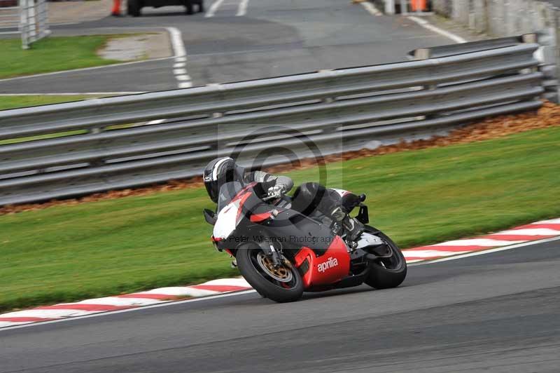 Motorcycle action photographs;Trackday digital images;event digital images;eventdigitalimages;no limits trackday;oulton park;oulton park circuit cheshire;oulton park photographs;peter wileman photography;trackday;trackday photos