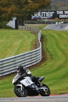 Motorcycle-action-photographs;Trackday-digital-images;event-digital-images;eventdigitalimages;no-limits-trackday;oulton-park;oulton-park-circuit-cheshire;oulton-park-photographs;peter-wileman-photography;trackday;trackday-photos