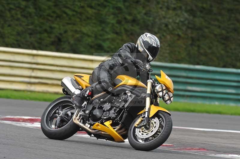 Motorcycle action photographs;cadwell;cadwell park photographs;event digital images;eventdigitalimages;motor racing louth lincolnshire;no limits trackdays;peter wileman photography;trackday;trackday digital images;trackday photos