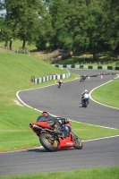 FAST RED/ORANGE BIKES