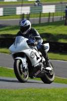 NOVICE MULTICOLOUR BIKES