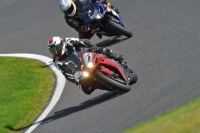 NOVICE RED/ORANGE BIKES