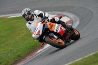 NOVICE MULTICOLOUR BIKES