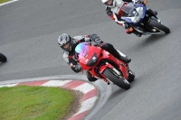 enduro-digital-images;event-digital-images;eventdigitalimages;no-limits-trackdays;oulton-no-limits-trackday;oulton-park-cheshire;oulton-trackday-photographs;peter-wileman-photography;racing-digital-images;trackday-digital-images;trackday-photos