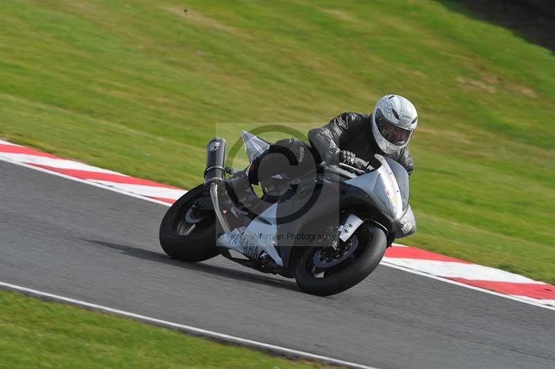 Motorcycle action photographs;event digital images;eventdigitalimages;no limits trackday;oulton park;oulton park circuit cheshire;oulton park photographs;peter wileman photography;trackday;trackday digital images;trackday photos