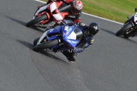 Motorcycle-action-photographs;event-digital-images;eventdigitalimages;no-limits-trackday;oulton-park;oulton-park-circuit-cheshire;oulton-park-photographs;peter-wileman-photography;trackday;trackday-digital-images;trackday-photos