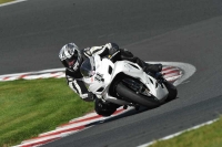 Motorcycle-action-photographs;event-digital-images;eventdigitalimages;no-limits-trackday;oulton-park;oulton-park-circuit-cheshire;oulton-park-photographs;peter-wileman-photography;trackday;trackday-digital-images;trackday-photos