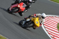 Motorcycle-action-photographs;event-digital-images;eventdigitalimages;no-limits-trackday;oulton-park;oulton-park-circuit-cheshire;oulton-park-photographs;peter-wileman-photography;trackday;trackday-digital-images;trackday-photos