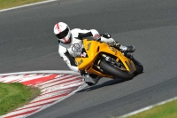 Motorcycle-action-photographs;event-digital-images;eventdigitalimages;no-limits-trackday;oulton-park;oulton-park-circuit-cheshire;oulton-park-photographs;peter-wileman-photography;trackday;trackday-digital-images;trackday-photos