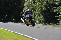 Motorcycle-action-photographs;event-digital-images;eventdigitalimages;no-limits-trackday;oulton-park;oulton-park-circuit-cheshire;oulton-park-photographs;peter-wileman-photography;trackday;trackday-digital-images;trackday-photos