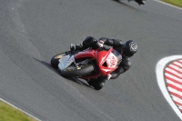 Motorcycle-action-photographs;event-digital-images;eventdigitalimages;no-limits-trackday;oulton-park;oulton-park-circuit-cheshire;oulton-park-photographs;peter-wileman-photography;trackday;trackday-digital-images;trackday-photos