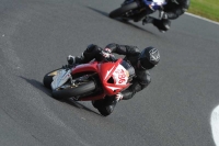 Motorcycle-action-photographs;event-digital-images;eventdigitalimages;no-limits-trackday;oulton-park;oulton-park-circuit-cheshire;oulton-park-photographs;peter-wileman-photography;trackday;trackday-digital-images;trackday-photos