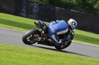 enduro-digital-images;event-digital-images;eventdigitalimages;no-limits-trackdays;oulton-no-limits-trackday;oulton-park-cheshire;oulton-trackday-photographs;peter-wileman-photography;racing-digital-images;trackday-digital-images;trackday-photos