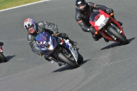 enduro-digital-images;event-digital-images;eventdigitalimages;no-limits-trackdays;oulton-no-limits-trackday;oulton-park-cheshire;oulton-trackday-photographs;peter-wileman-photography;racing-digital-images;trackday-digital-images;trackday-photos