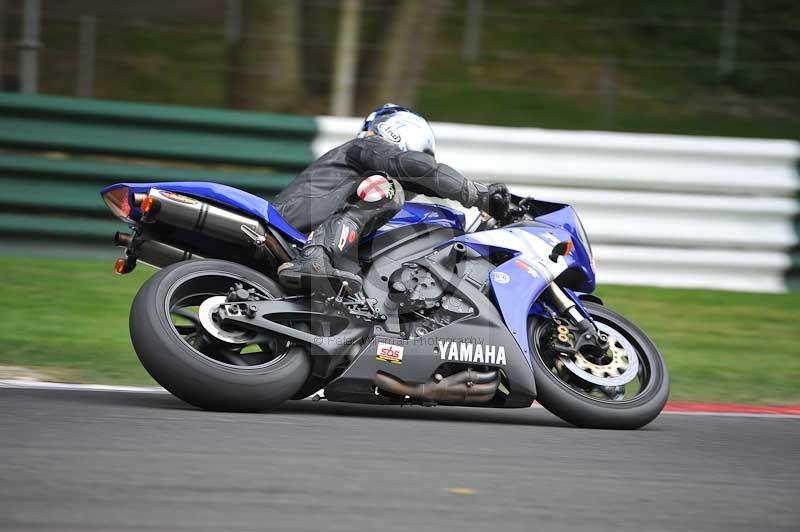 Motorcycle action photographs;Trackday digital images;cadwell;cadwell park photographs;event digital images;eventdigitalimages;motor racing louth lincolnshire;no limits trackdays;peter wileman photography;trackday;trackday photos