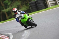 Motorcycle-action-photographs;Trackday-digital-images;cadwell;cadwell-park-photographs;event-digital-images;eventdigitalimages;motor-racing-louth-lincolnshire;no-limits-trackdays;peter-wileman-photography;trackday;trackday-photos
