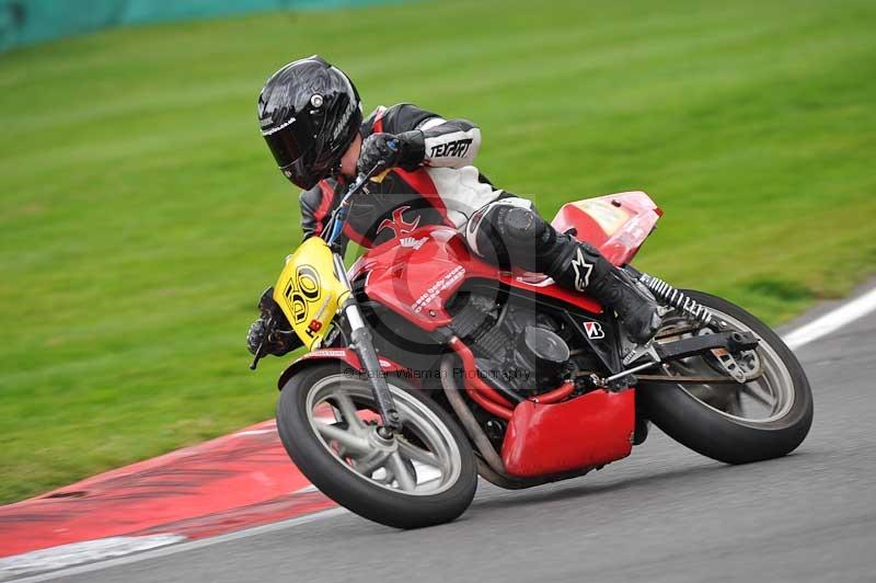 Motorcycle action photographs;Trackday digital images;cadwell;cadwell park photographs;event digital images;eventdigitalimages;motor racing louth lincolnshire;no limits trackdays;peter wileman photography;trackday;trackday photos