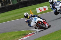 Motorcycle-action-photographs;Trackday-digital-images;cadwell;cadwell-park-photographs;event-digital-images;eventdigitalimages;motor-racing-louth-lincolnshire;no-limits-trackdays;peter-wileman-photography;trackday;trackday-photos
