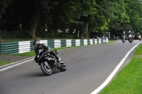 Motorcycle-action-photographs;Trackday-digital-images;cadwell;cadwell-park-photographs;event-digital-images;eventdigitalimages;motor-racing-louth-lincolnshire;no-limits-trackdays;peter-wileman-photography;trackday;trackday-photos