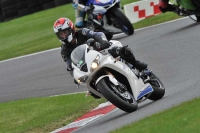 Motorcycle-action-photographs;Trackday-digital-images;cadwell;cadwell-park-photographs;event-digital-images;eventdigitalimages;motor-racing-louth-lincolnshire;no-limits-trackdays;peter-wileman-photography;trackday;trackday-photos