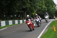 Motorcycle-action-photographs;Trackday-digital-images;cadwell;cadwell-park-photographs;event-digital-images;eventdigitalimages;motor-racing-louth-lincolnshire;no-limits-trackdays;peter-wileman-photography;trackday;trackday-photos