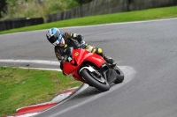 Motorcycle-action-photographs;Trackday-digital-images;cadwell;cadwell-park-photographs;event-digital-images;eventdigitalimages;motor-racing-louth-lincolnshire;no-limits-trackdays;peter-wileman-photography;trackday;trackday-photos