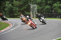Motorcycle-action-photographs;Trackday-digital-images;cadwell;cadwell-park-photographs;event-digital-images;eventdigitalimages;motor-racing-louth-lincolnshire;no-limits-trackdays;peter-wileman-photography;trackday;trackday-photos