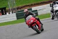 Motorcycle-action-photographs;Trackday-digital-images;cadwell;cadwell-park-photographs;event-digital-images;eventdigitalimages;motor-racing-louth-lincolnshire;no-limits-trackdays;peter-wileman-photography;trackday;trackday-photos