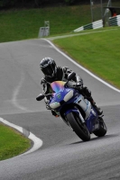 Motorcycle-action-photographs;Trackday-digital-images;cadwell;cadwell-park-photographs;event-digital-images;eventdigitalimages;motor-racing-louth-lincolnshire;no-limits-trackdays;peter-wileman-photography;trackday;trackday-photos