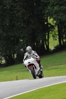 Motorcycle-action-photographs;Trackday-digital-images;cadwell;cadwell-park-photographs;event-digital-images;eventdigitalimages;motor-racing-louth-lincolnshire;no-limits-trackdays;peter-wileman-photography;trackday;trackday-photos