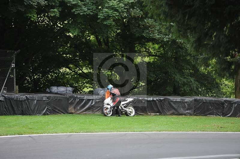 Motorcycle action photographs;Trackday digital images;cadwell;cadwell park photographs;event digital images;eventdigitalimages;motor racing louth lincolnshire;no limits trackdays;peter wileman photography;trackday;trackday photos